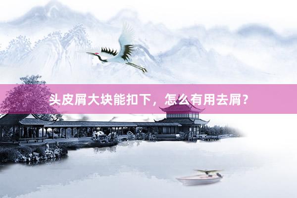 头皮屑大块能扣下，怎么有用去屑？