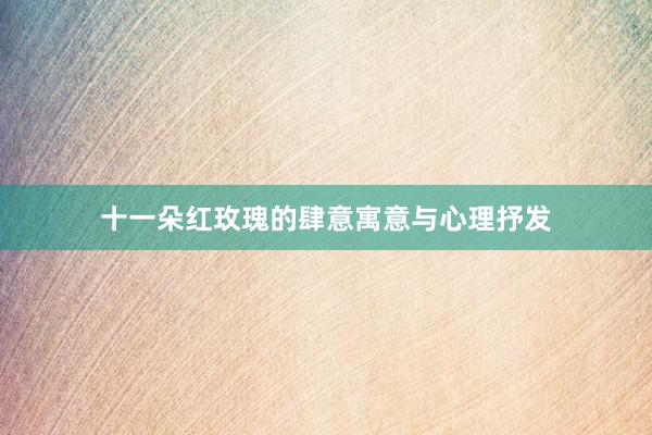 十一朵红玫瑰的肆意寓意与心理抒发