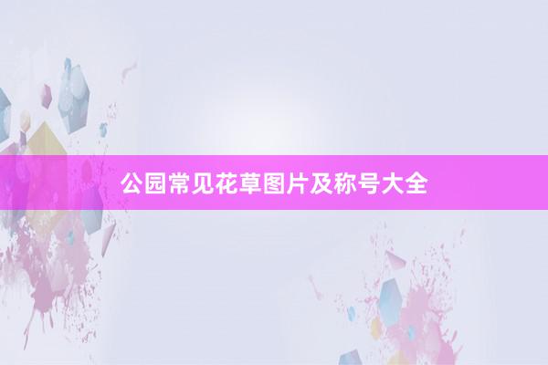 公园常见花草图片及称号大全